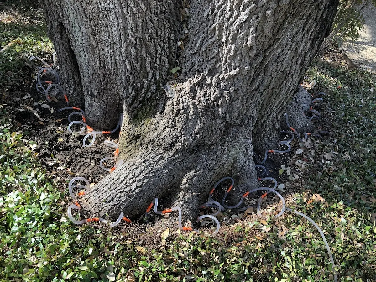 Detailed Shrub and Hedge Trimming job site in Hartland
